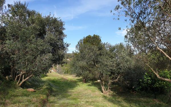 Maison à vendre    5 pièces • 132 m2 Auriol