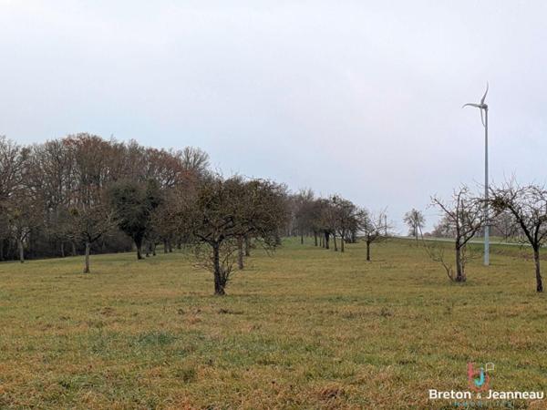 Corps de ferme sur 3 ha 39 secteur Vaiges