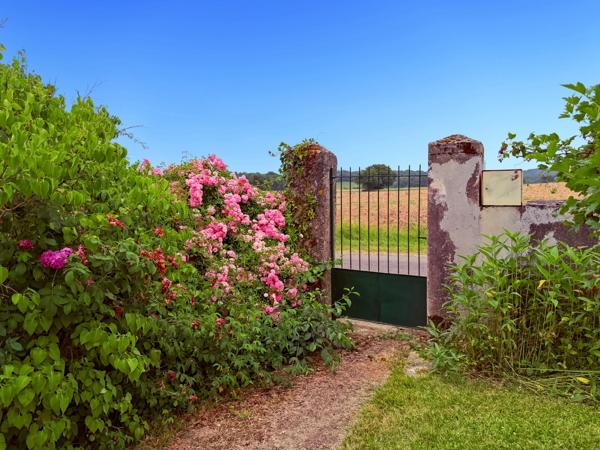 Propriété 358 m2 à vendre -avec 7700 m2 de parc - Maison 8 pièces de 234 m2, gîte de 124 m2 et piscine proche de MARCIAC (32)