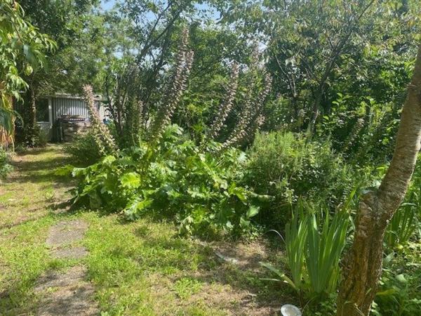 SAINT HERBALAIN - LA SOLVARDIERE - terrain constructible 590 m²