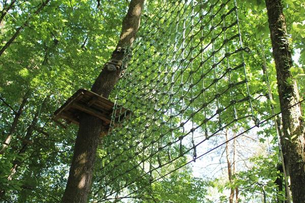 LIMOGES -  Parc de loisirs : activité Accrobranche  sur 1,5 Hect