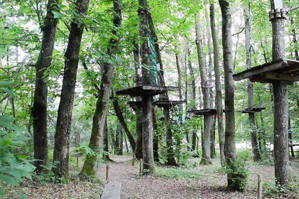 LIMOGES -  Parc de loisirs : activité Accrobranche  sur 1,5 Hect