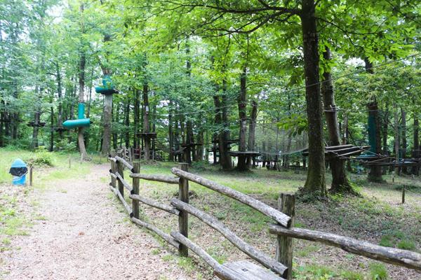 LIMOGES -  Parc de loisirs : activité Accrobranche  sur 1,5 Hect