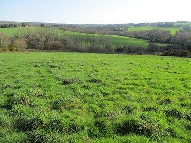 Bien agricole à vendre à Plévin dans les Côtes-d'Armor (22340), ref : 29064-1093173