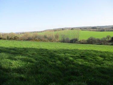 Bien agricole à vendre à Plévin dans les Côtes-d'Armor (22340), ref : 29064-1093173