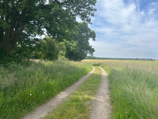 Longere à MONDOUBLEAU (41170)