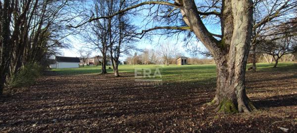 Terrain Damparis 2339 m2 dans un cadre magnifique et verdoyant.