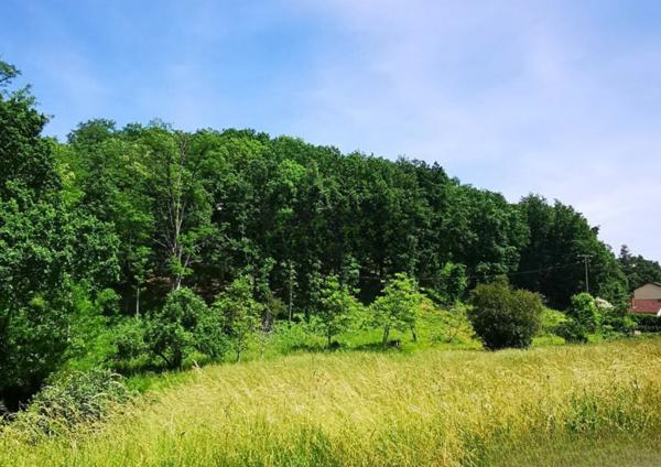 Terrain - 2028 m² Exclusivité efficity