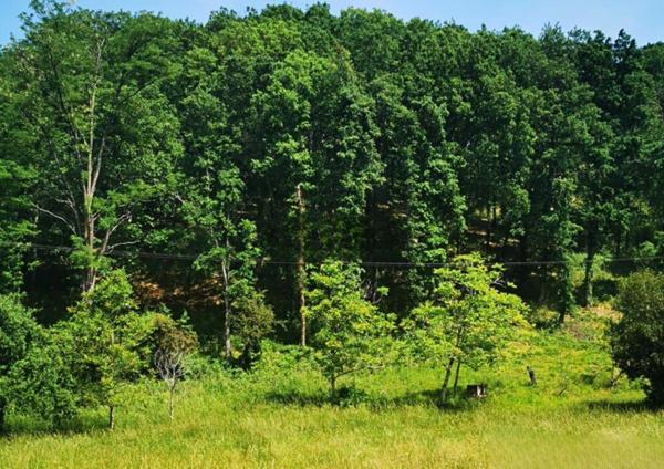 Terrain - 2028 m² Exclusivité efficity