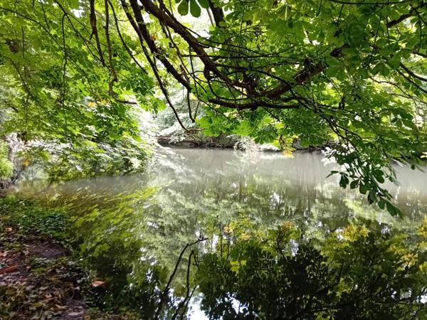 Terrain à batir 5900m bord de rivière