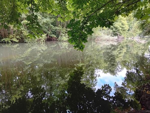 Terrain à batir 5900m bord de rivière