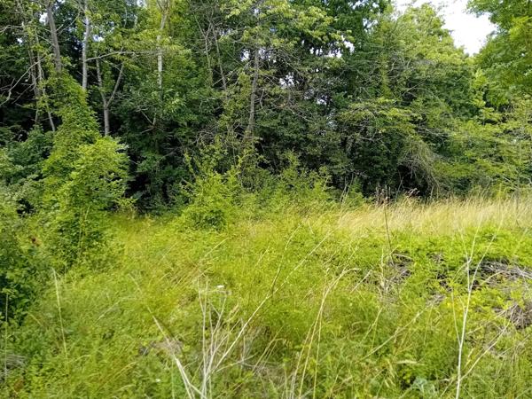 Terrain à batir 5900m bord de rivière