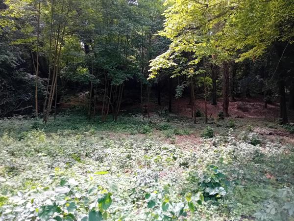 Terrain à batir 5900m bord de rivière