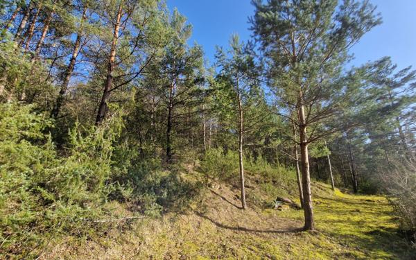 Terrain à vendre    Chasteaux