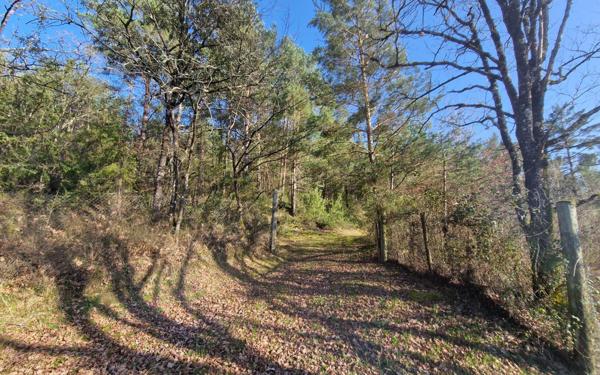 Terrain à vendre    Chasteaux