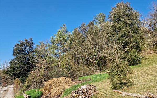 Terrain à vendre    Chasteaux