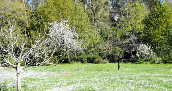 ORVAULT - CADRE EXCEPTIONNEL - CALME ABSOLU