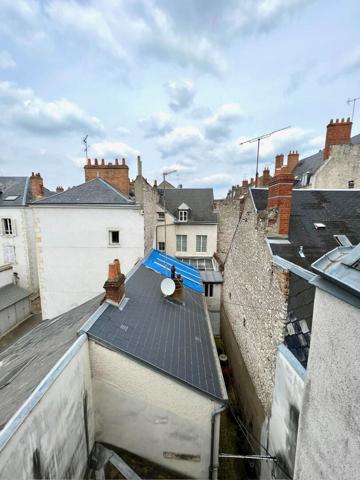 ORLEANS HYPERCENTRE - STUDIO MEUBLE PROCHE BORD DE LOIRE - bien agencé