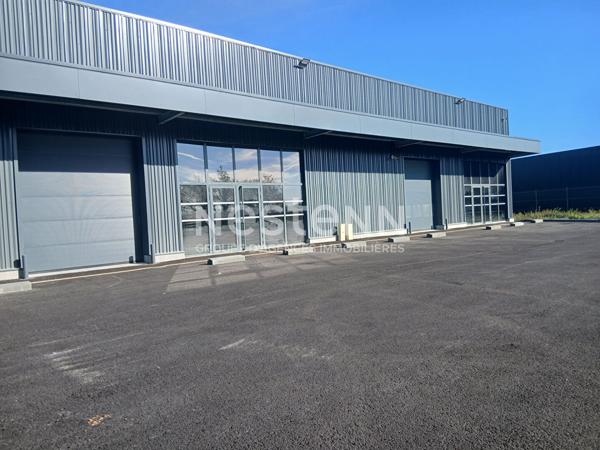 A LOUER Local d'activité  - superficie allant de 300m² à 700m²