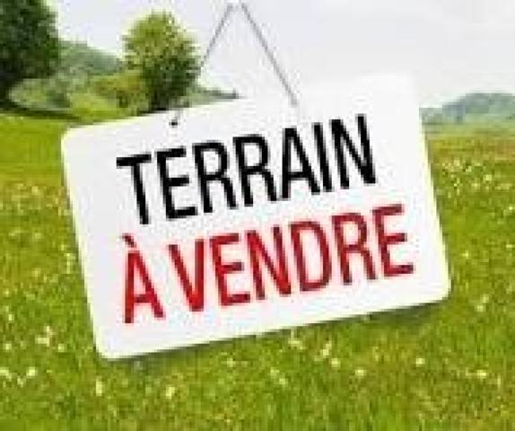 TERRAIN VIABILISE ET BORNE - ST LOUBES