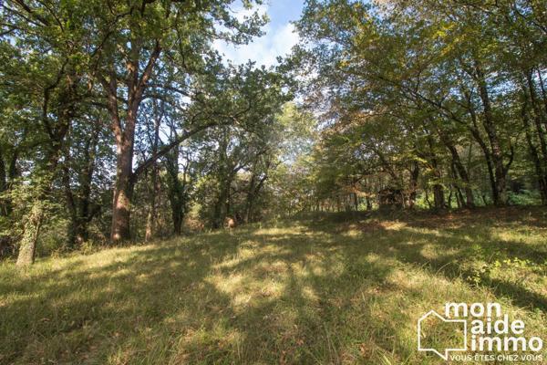 Vaste maison de charme sur parc de 1,2 hectares