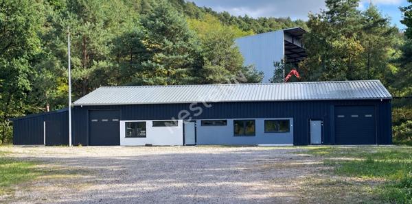 Saint-Avold: Bureaux + dépot  220m²  avec possibilité de stockage extérieur
