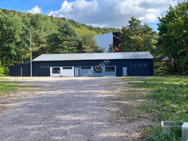 Saint-Avold: Bureaux + dépot  220m²  avec possibilité de stockage extérieur