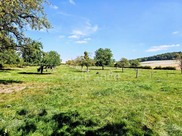 A VENDRE ANCIEN CORPS DE FERME AVEC DÉPENDANCES 5 pièces secteur BLANGY-SUR-BRESLE (76)