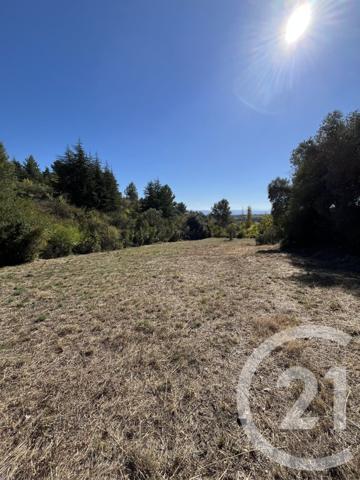 Terrain à vendre  1680 m2 CAUNES MINERVOIS - 11