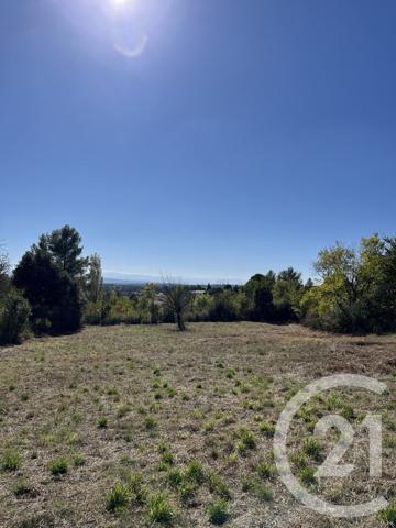 Terrain à vendre  1680 m2 CAUNES MINERVOIS - 11