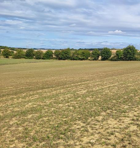 Vente / Terrain constructible