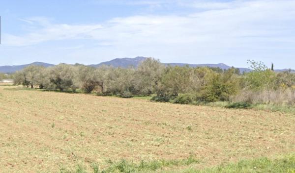 Vente / Terrain agricole