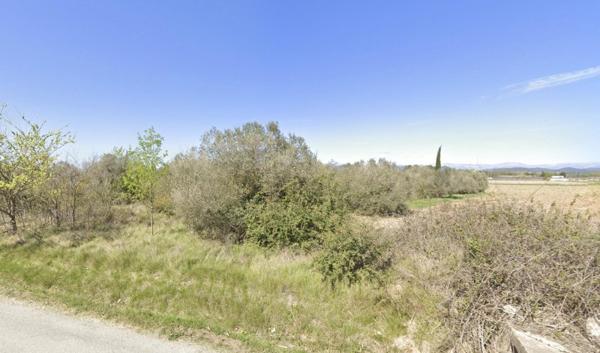 Vente / Terrain agricole