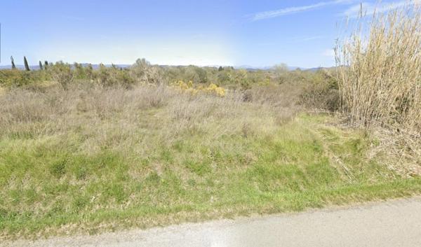 Vente / Terrain agricole