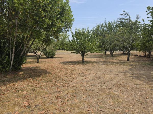 Maison de plain-pied avec piscine, garage et jardin clos à proximité de Montaigu-de-Quercy