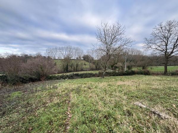 Vente / Terrain