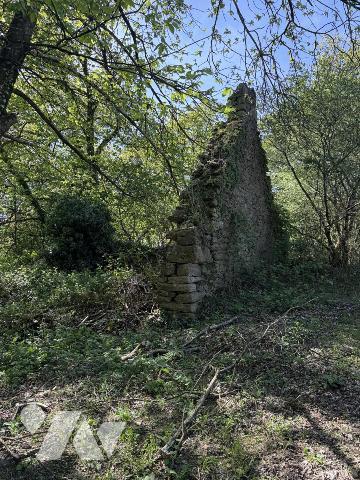 Maison en pierres à rénover
