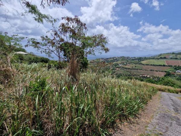Terrain Le Carbet