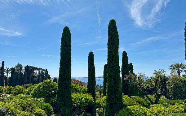 Appartement à vendre    6 pièces • 270,58 m2 Cannes