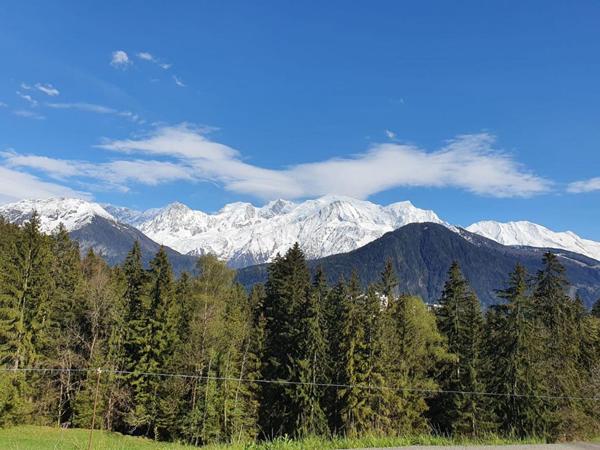 PASSY , BATIMENT A RENOVER  80 pièces , 9000 m2 , 30 000 m2 terrain