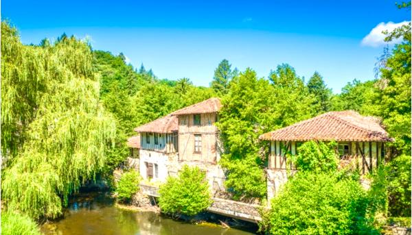 À 20 minutes de Limoges - Un domaine historique unique : Grand Moulin du XIXe siècle + 4 moulins du XIIe siècle
