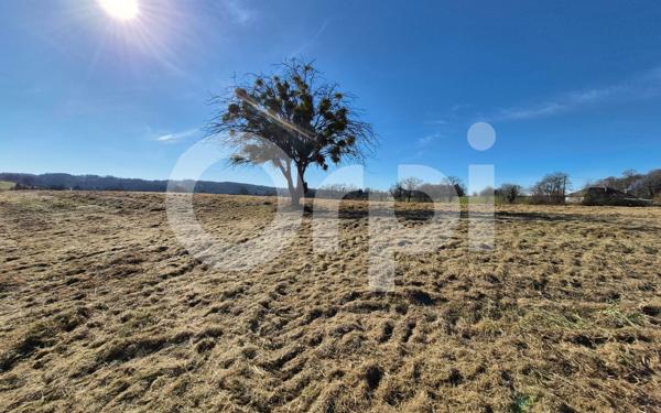 Terrain à vendre    Perpezac-le-Noir