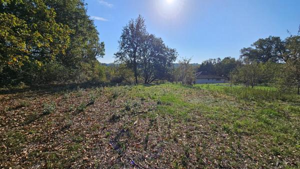 Terrain à bâtir 2000 m2 - borné - viabilisé