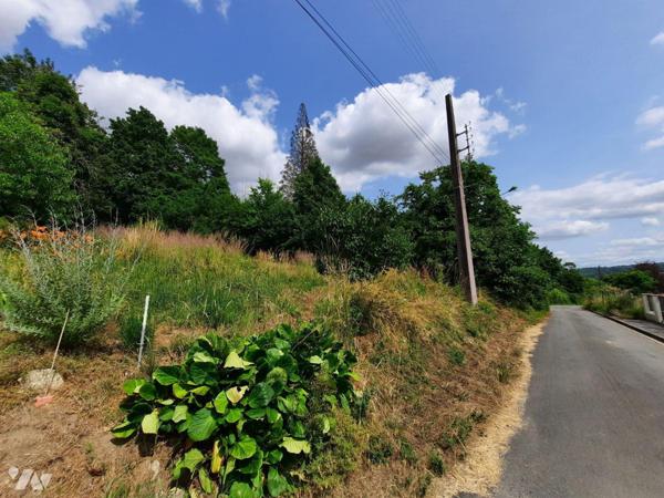 VAILLY SUR AISNE: A découvrir, terrain à bâtir proche du centre de Vailly sur Aisne, en directi...
