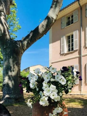 AUPS – Élégante Bastide Bourgeoise du XVIIIe siècle avec Piscine et Parc Arboré