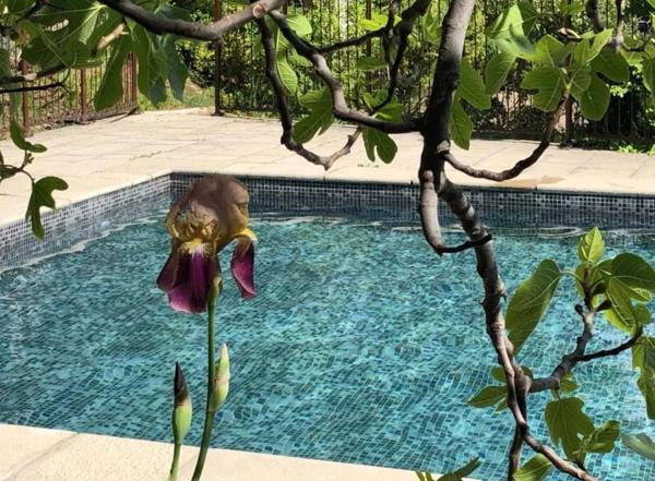 AUPS – Élégante Bastide Bourgeoise du XVIIIe siècle avec Piscine et Parc Arboré