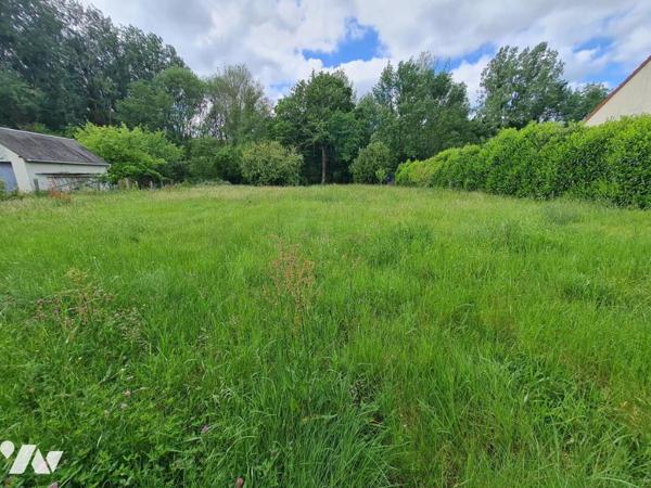 TERRAIN A BATIR - A VENDRE - TERNAY ( 41800)