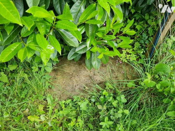 TERRAIN A BATIR - A VENDRE - TERNAY ( 41800)