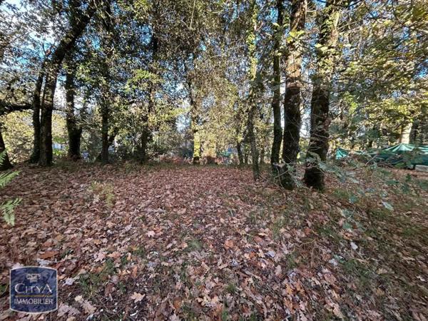 Appartement à vendre 1 pièce 18.21m²