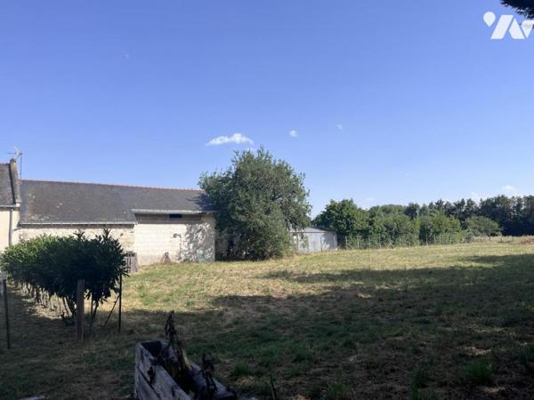 Les Rosiers sur Loire , Fort potentiel : réhabilitation + terrain constructible 